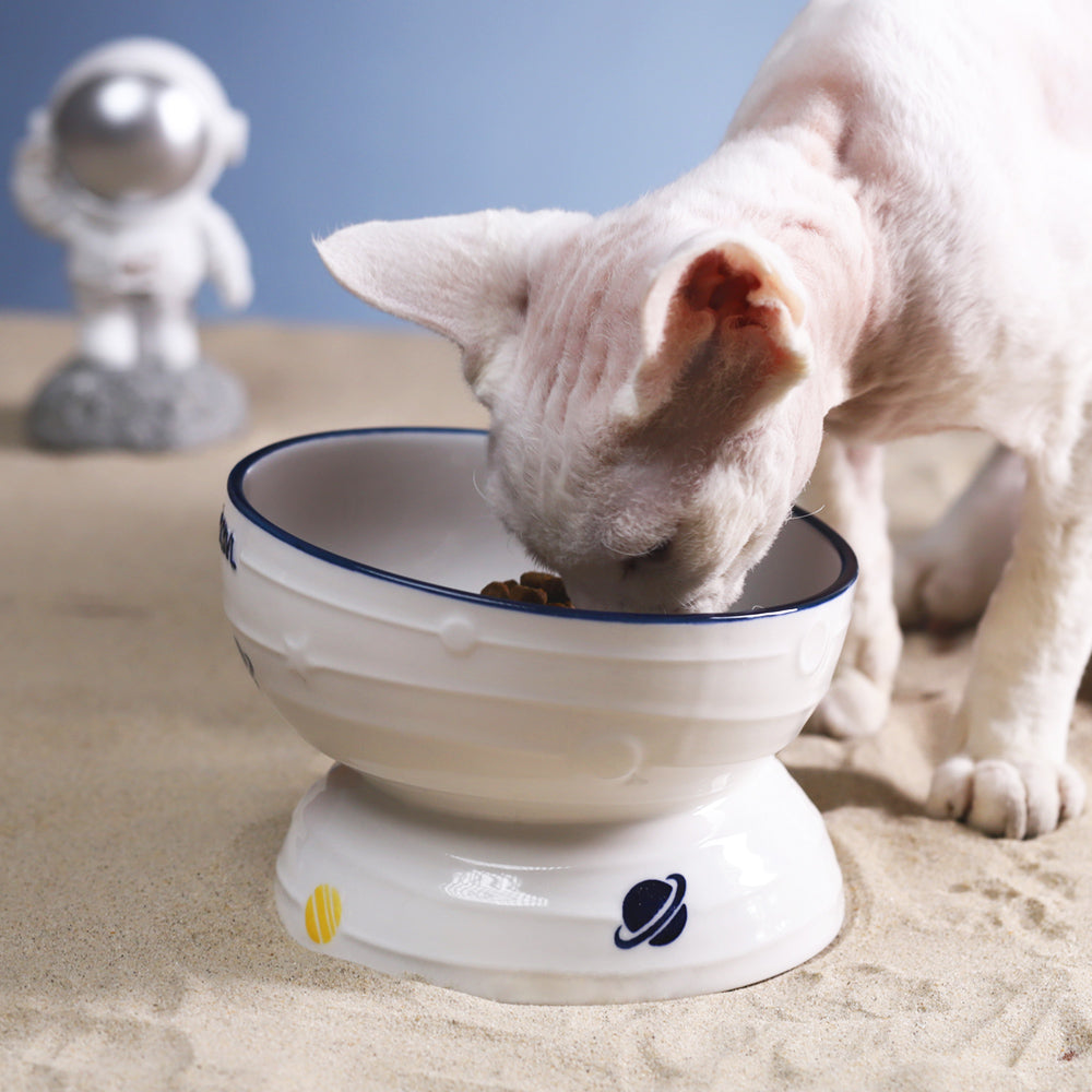 Ceramic Slanted Tall Cat Food Bowl Pets Fashion
