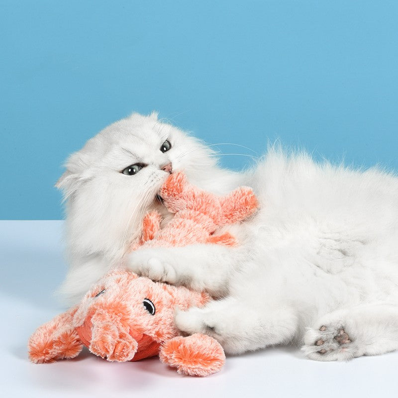 Cleaning Pet Hair Comb Supplies Pets Fashion