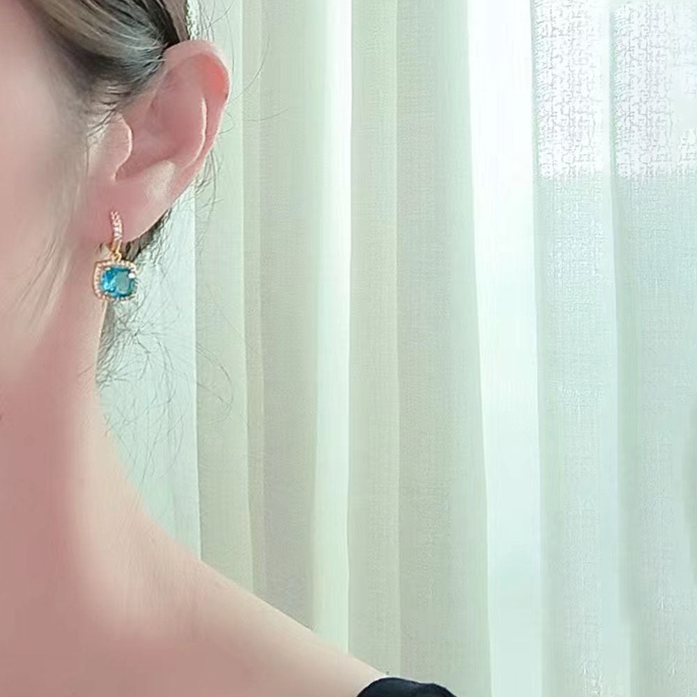 S925 Sterling Silver Inlaid Zircon Earrings LadyShow.Store