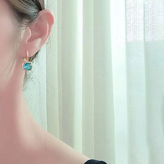 S925 Sterling Silver Inlaid Zircon Earrings LadyShow.Store