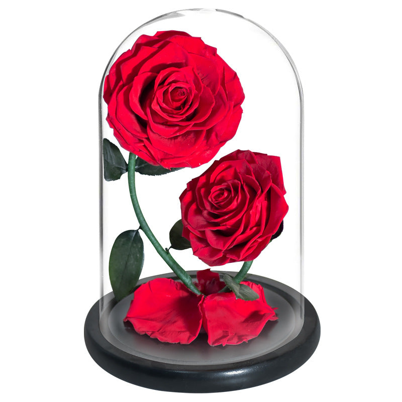 Double Preserved Flower Rose Valentine's Day Gift LadyShow.Store