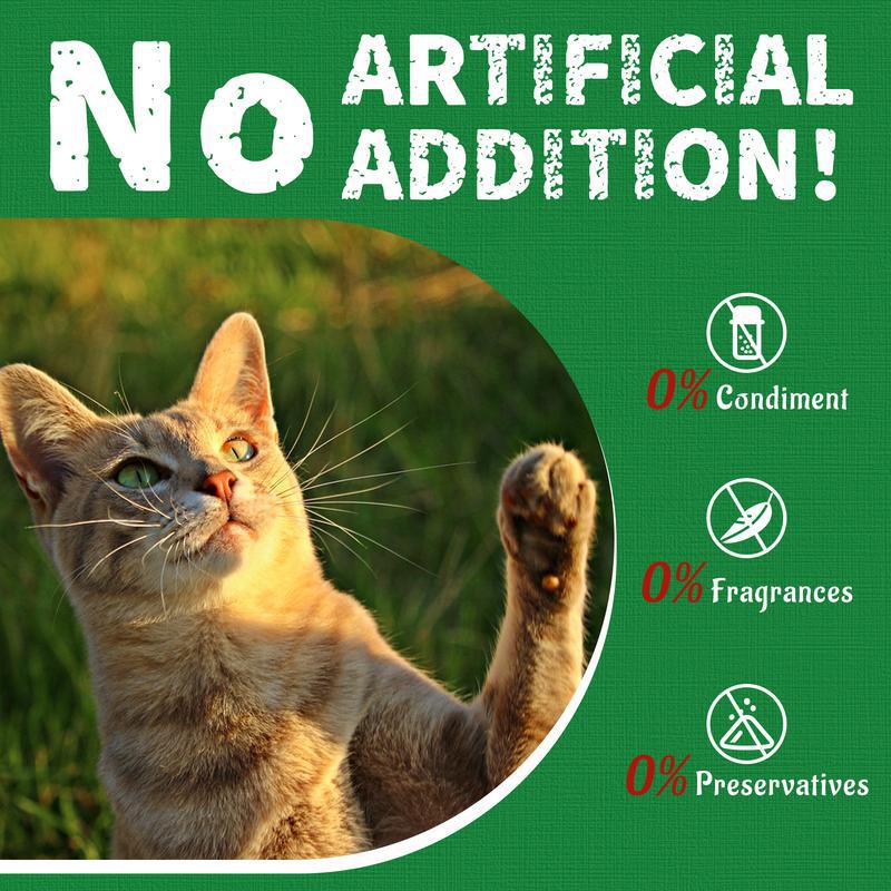 Cat Grass Biscuits Snacks And Pet Health Supplements Pets Fashion