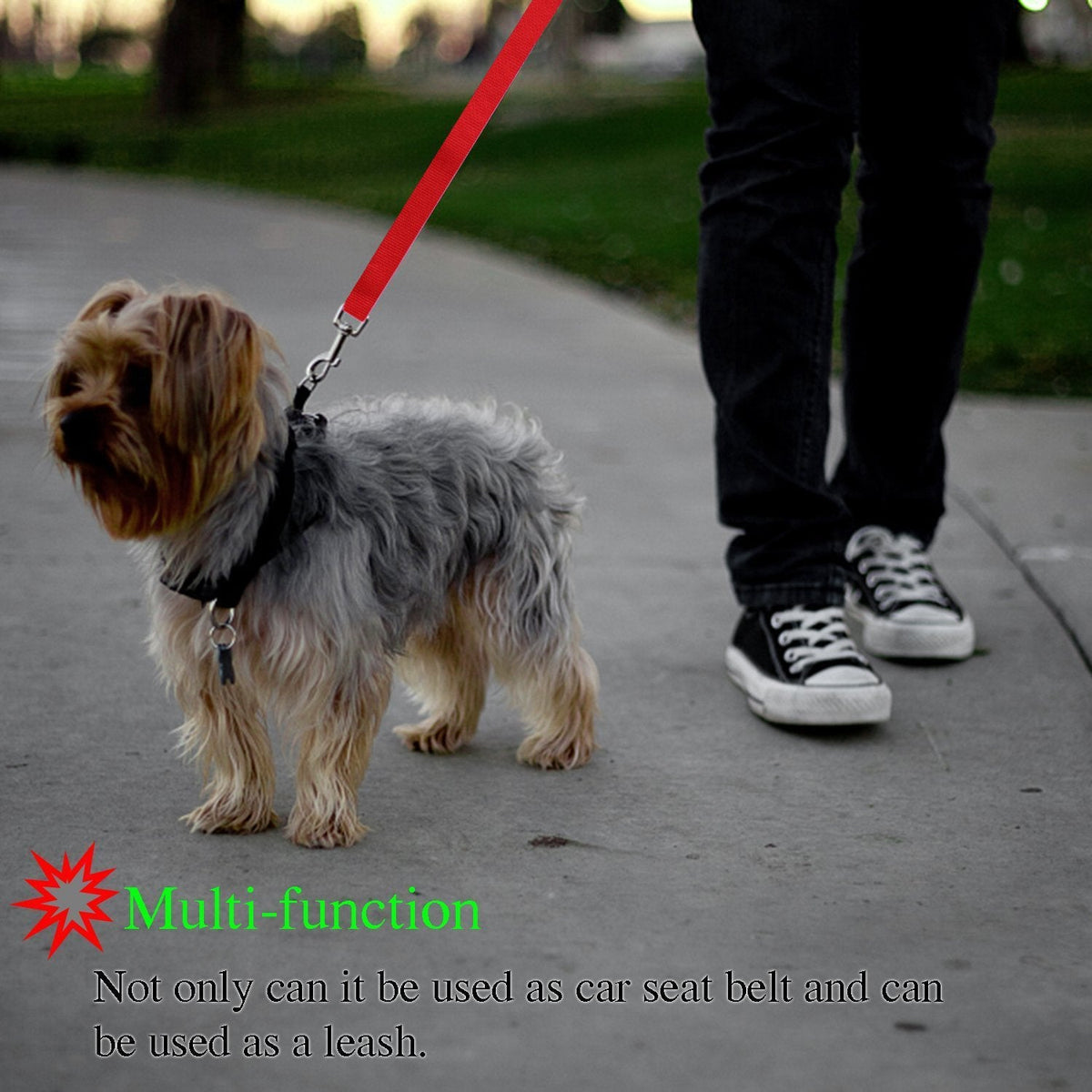 Pet safety leash Pets Fashion