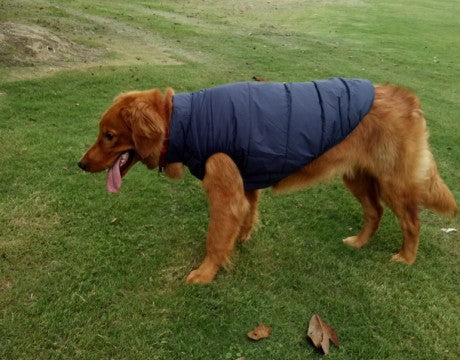 Pet clothing dog clothing warm waterproof outdoor pet supplies Pets Fashion
