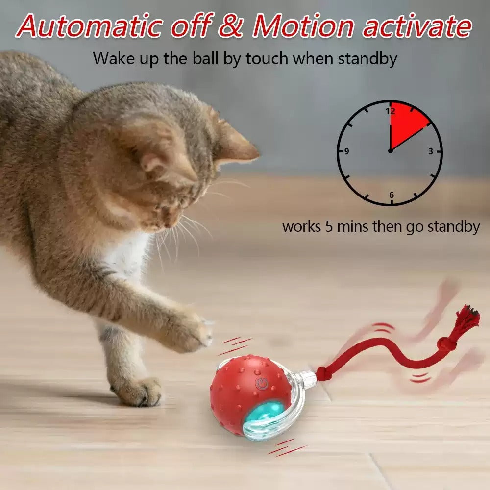 Interactive Cat Toy Ball Super Drive Cat Rolling Balls With Pets Fashion