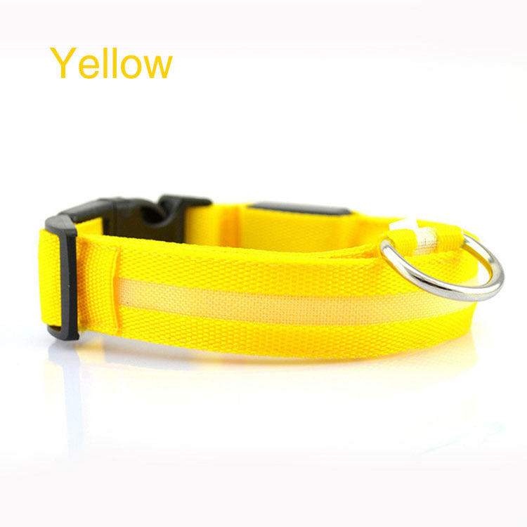 Safety Dog LED Collar Pets Fashion