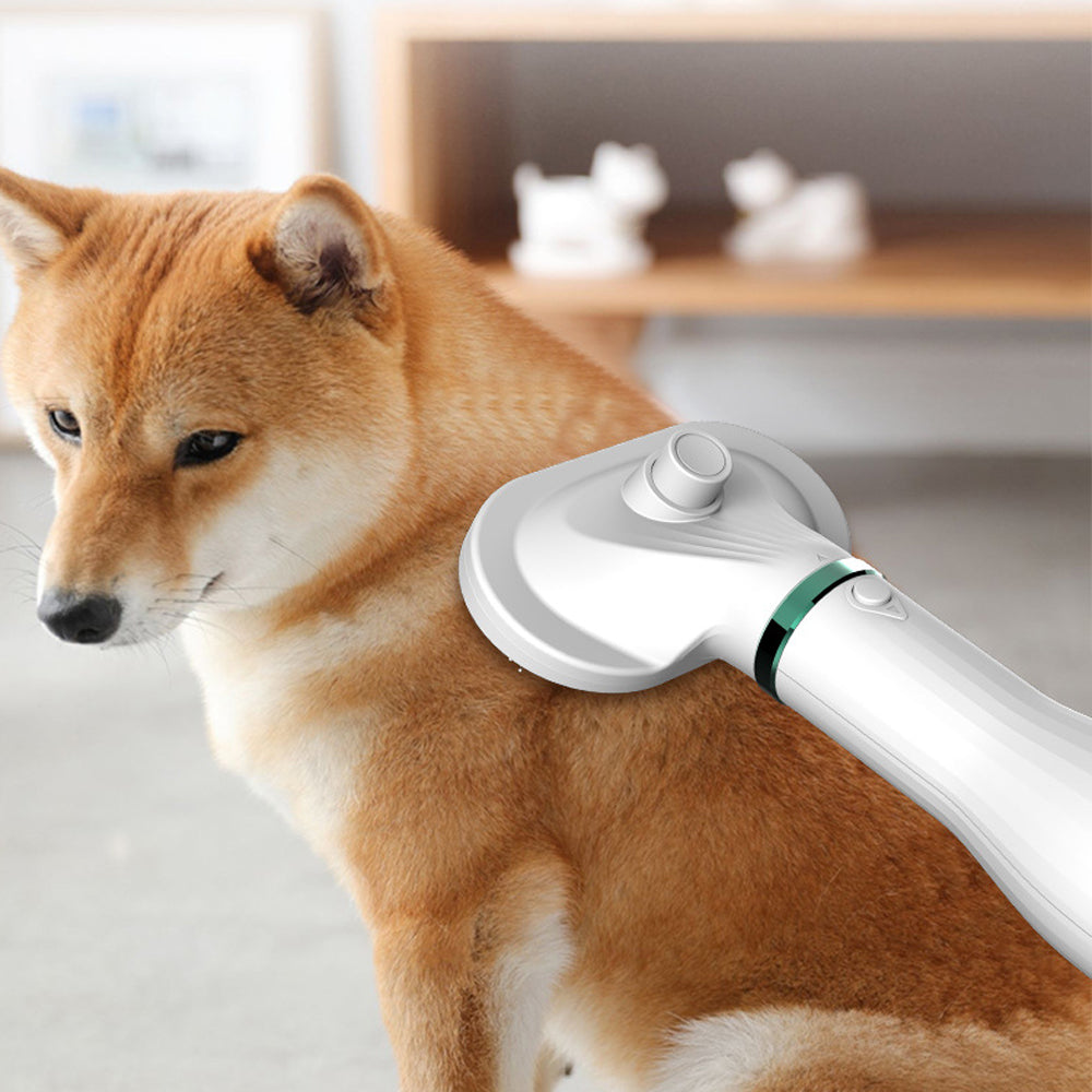 Pet Comb Hair Dryer Pets Fashion