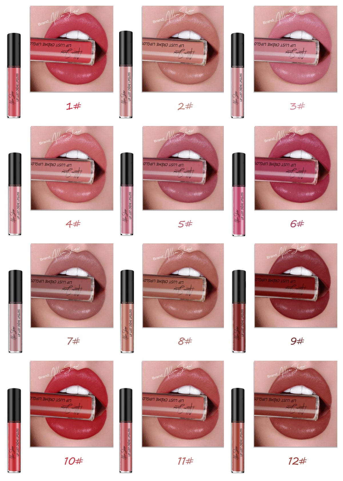 Silky Cream Texture Lip Gloss Aliexpress Shopee Cross-Border Exclusive Lip Glaze Lip Gloss Lipstick LadyShow.Store