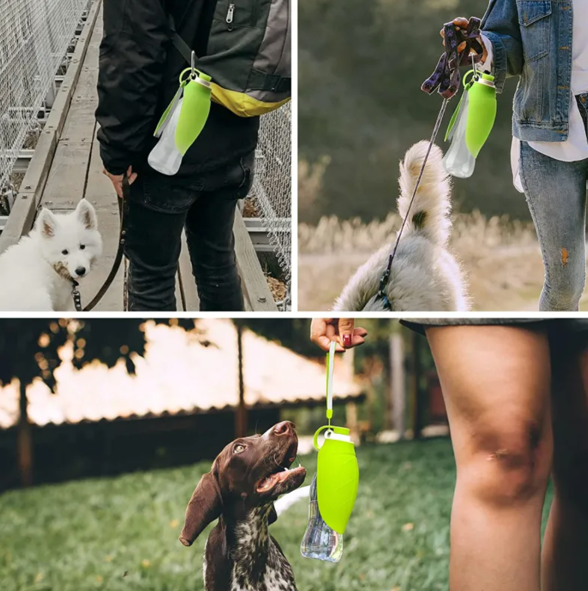 Portable Pet Water Bottle LadyShow.Store
