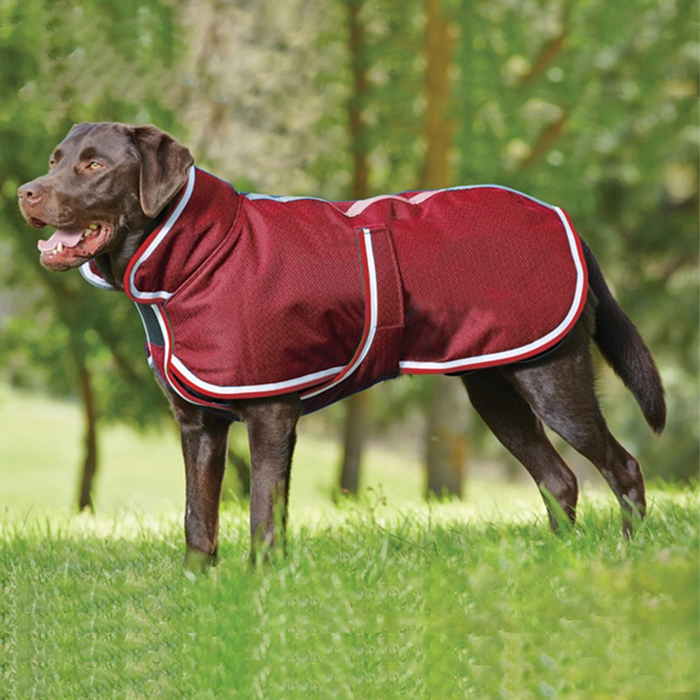 Autumn And Winter Warm Pet Leisure Waterproof Jacket Pets Fashion
