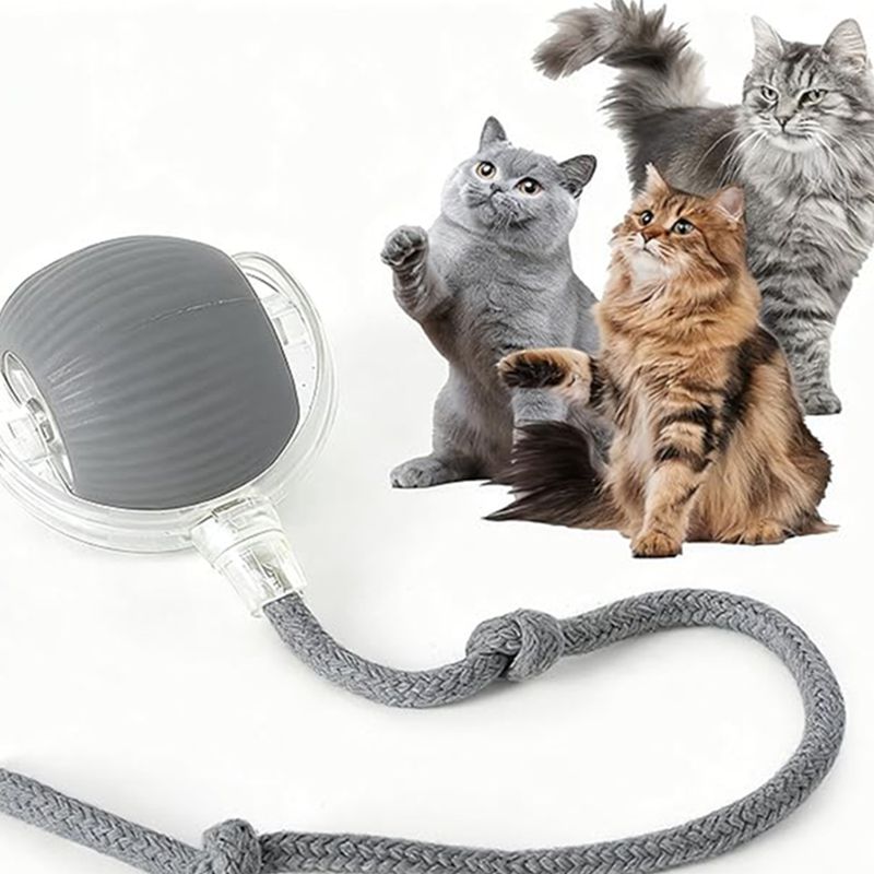Cat Interactive Ball Toys Automatic Rolling Ball For Kitten Rechargeable Smart Pet Electric Toys With Teaser Sensor Cat Ball Toy LadyShow.Store