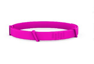 Anti-flea Pet Supplies Cat Dog Collar Pets Fashion