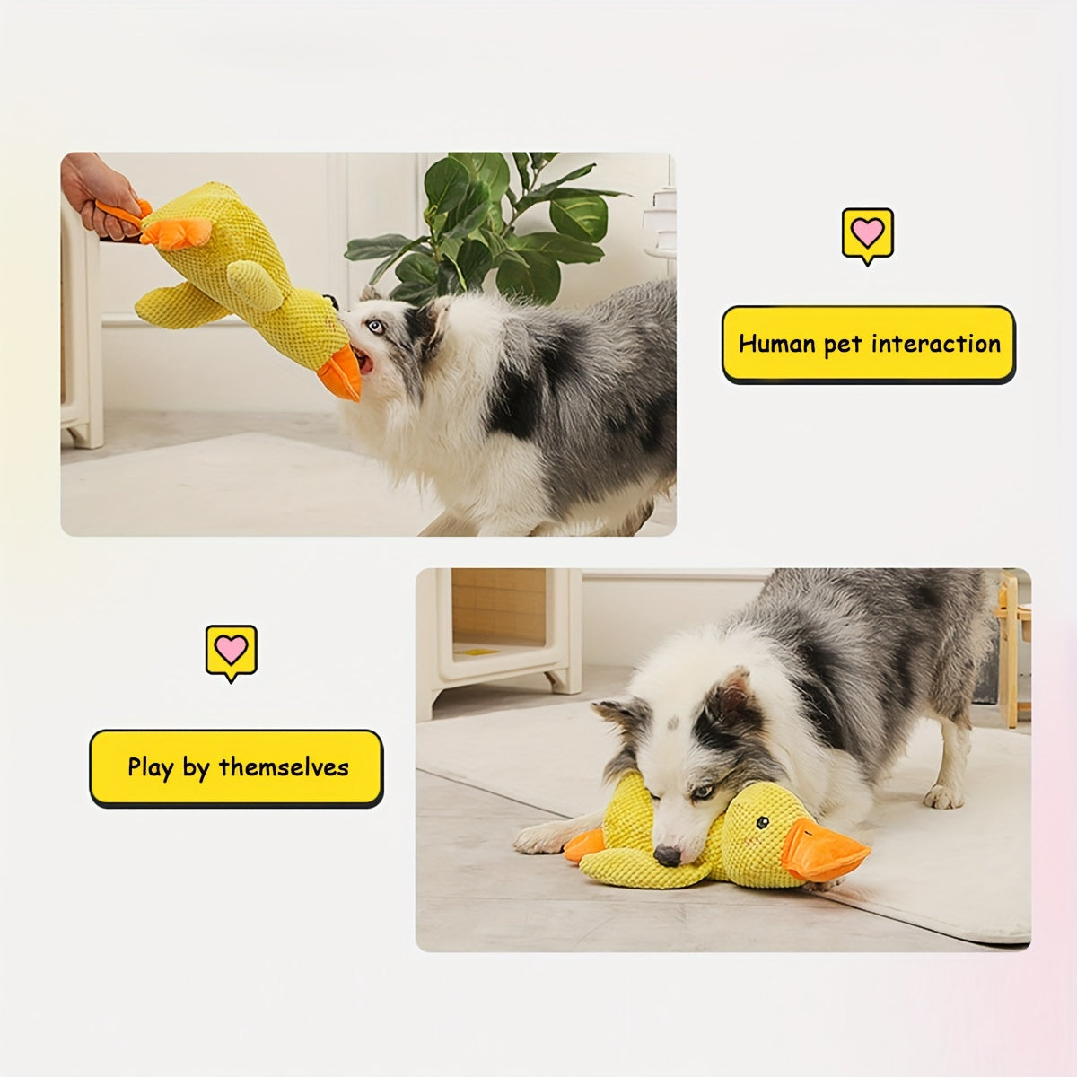 Best Pet Supplies Interactive Squeaky Dog Toy - Crinkle Duck, Yellow  Stuffing-Free Or Stuffed Body, Soft, Squeaks & Crinkles, No Mess, Perfect For Moderate Chewers, Toss And Fetch Play Pets Fashion