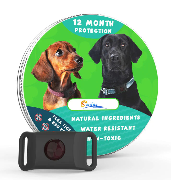 Flea Tick Tick Tick Collar Pets Fashion