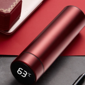 Smart Insulation Cup Water Bottle LadyShow.Store