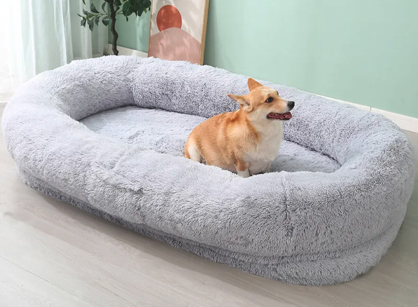 Human-sized Washable and Removable Dog Bed Best YouTube Store