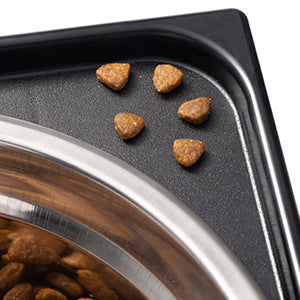 Pet Lifting Feeding Bowl Neck Protection Anti-tumble Medium Large Dog Dedicated Pets Fashion