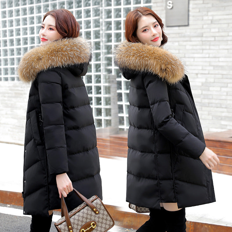 2020 Women's Korean Hooded White Duck Down Jacket Pi-Mart