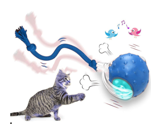 Interactive Cat Toy Ball Super Drive Cat Rolling Balls With Pets Fashion