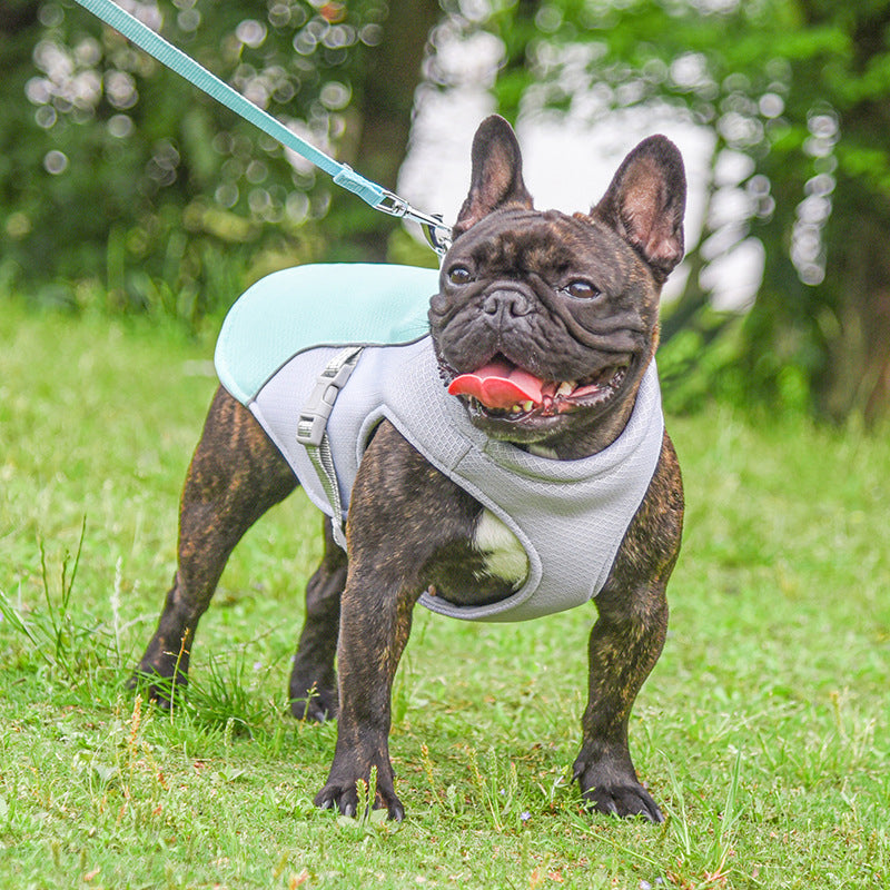 Summer Pet Outdoor Breathable Cooling Vest Pets Fashion