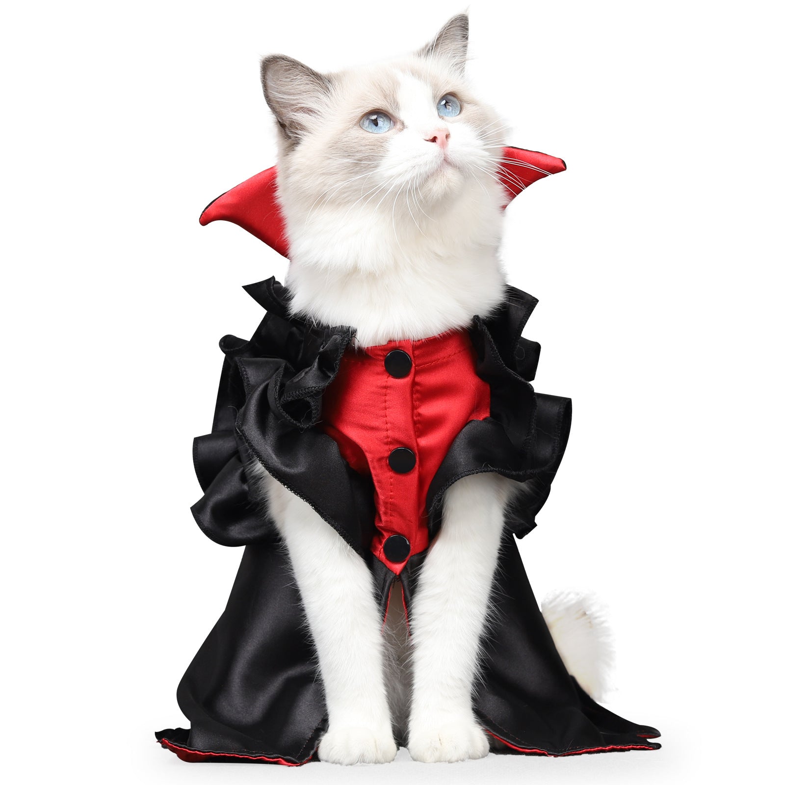 Cat Halloween Vampire Transformation Costume Pets Fashion