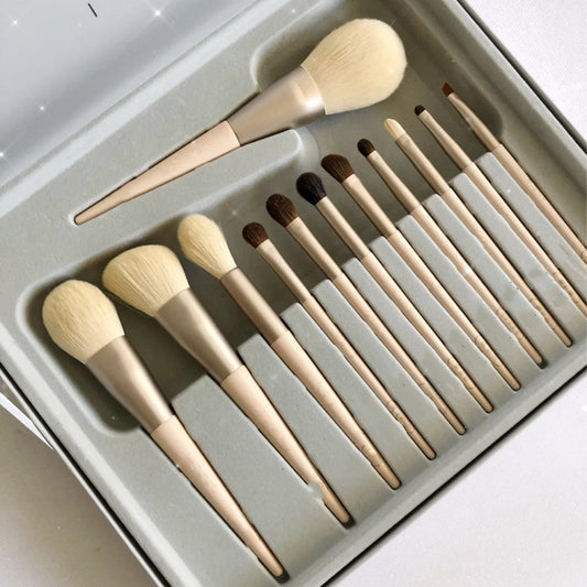 Set Of 12 Makeup Brushes CJD2
