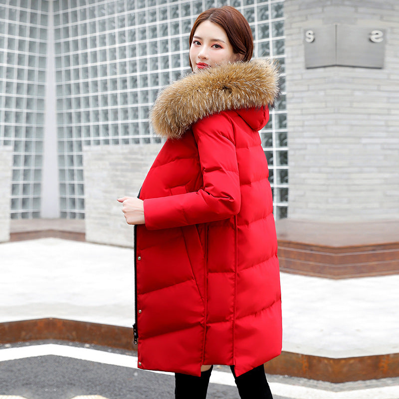 2020 Women's Korean Hooded White Duck Down Jacket Pi-Mart