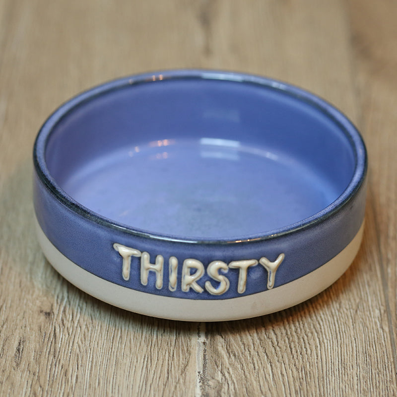 Making Old Pet Ceramic Bowls Pets Fashion