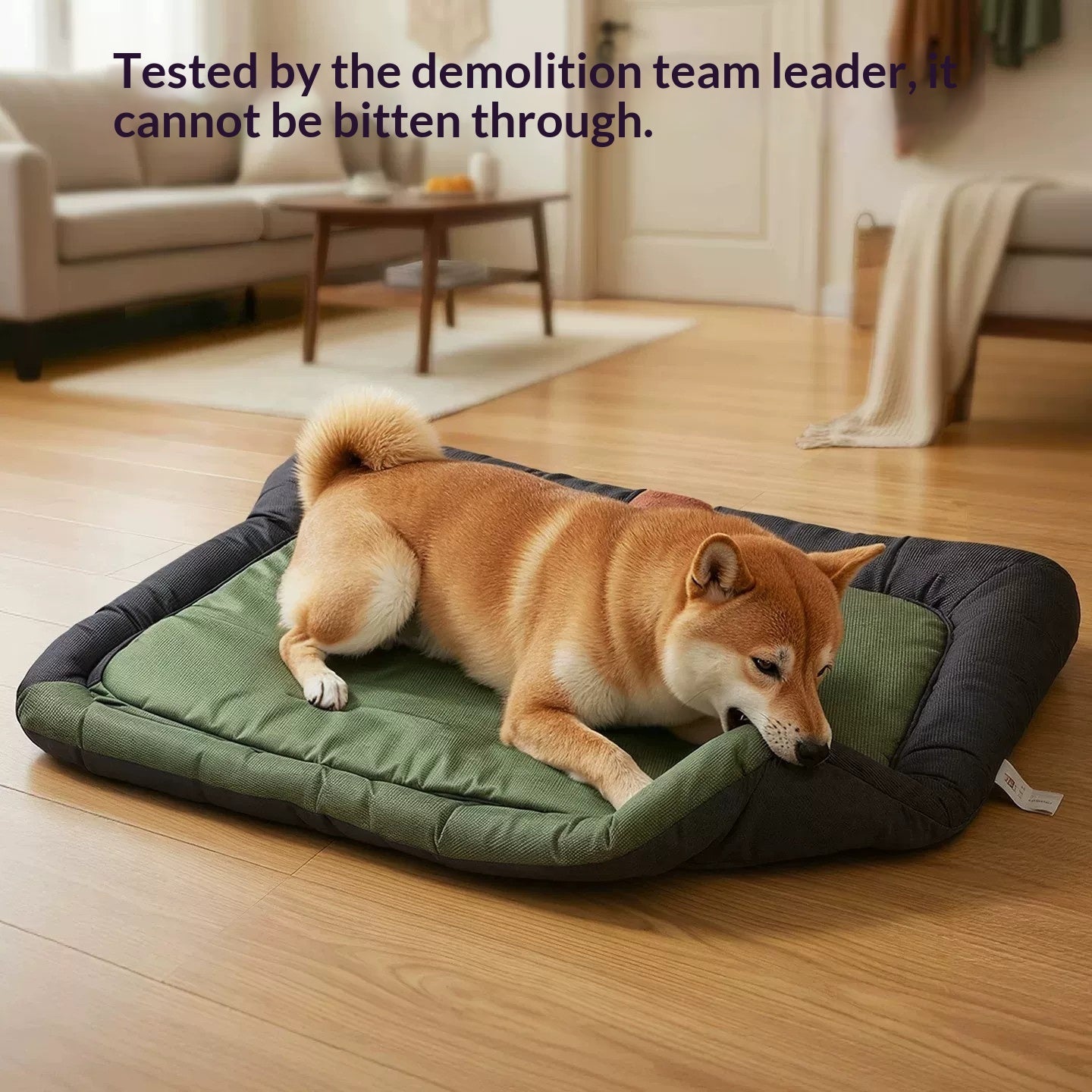Army Green Pet Bed Pets Fashion