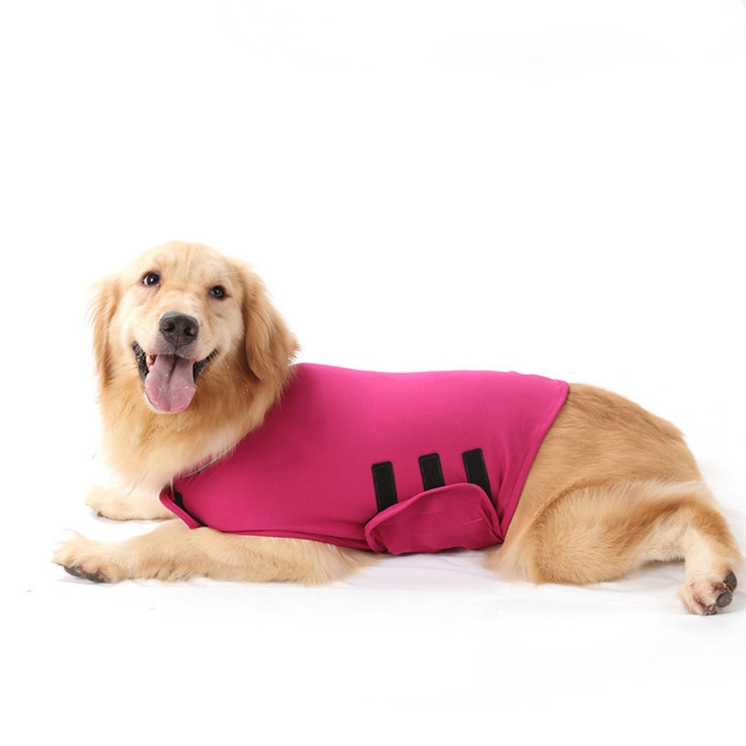 Pet Mood Soothing Anxiety Jacket Soothing Clothing Pets Fashion