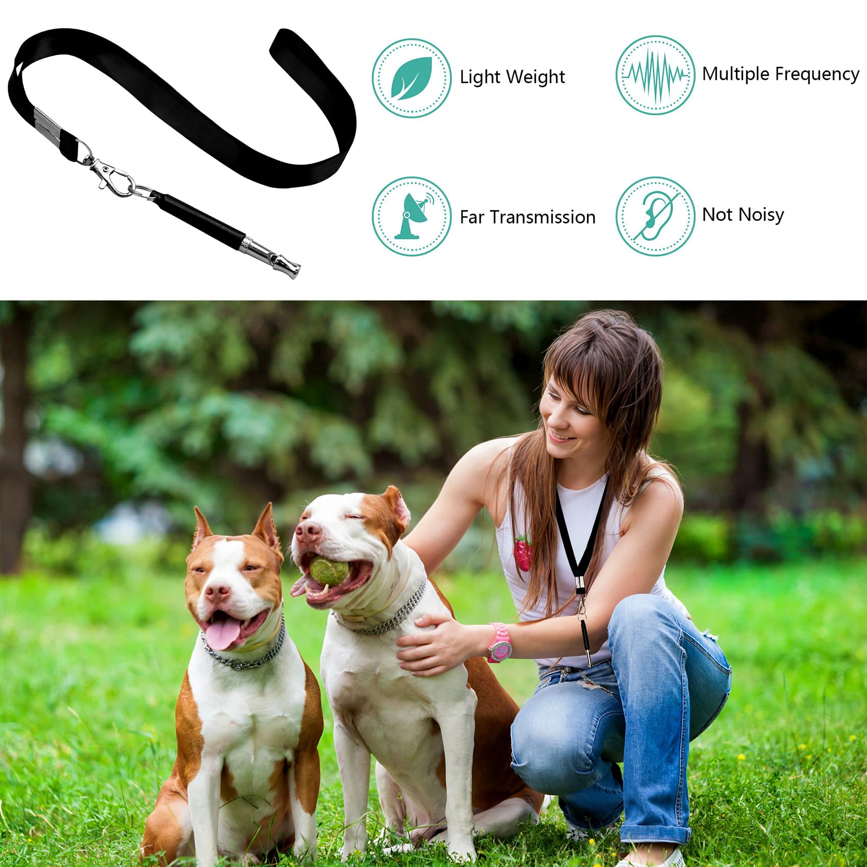 2 Pack Dog Whistle, Dog Whistle To Stop Barking Neighbors Dog, Adjustable Ultrasonic Silent Dog Whistle, Professional Recall Dog Training Whistles, With Lanyard Pets Fashion