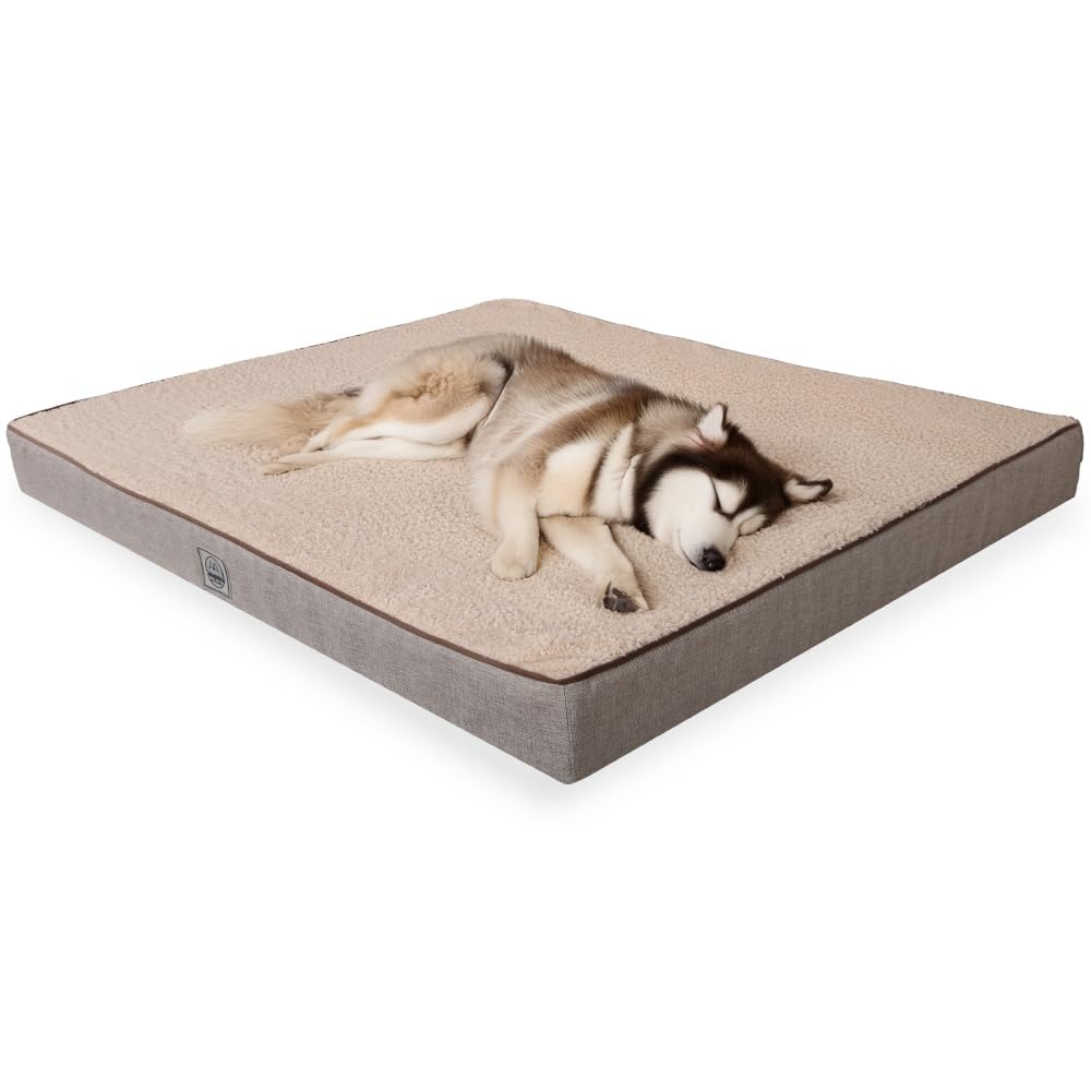 Orthopedic Dog Bed for Medium Dogs- Waterproof Ultra Soft Foam Pet Bed Mat Removable Washable Cover and Nonskid Bottom Beige Best YouTube Store