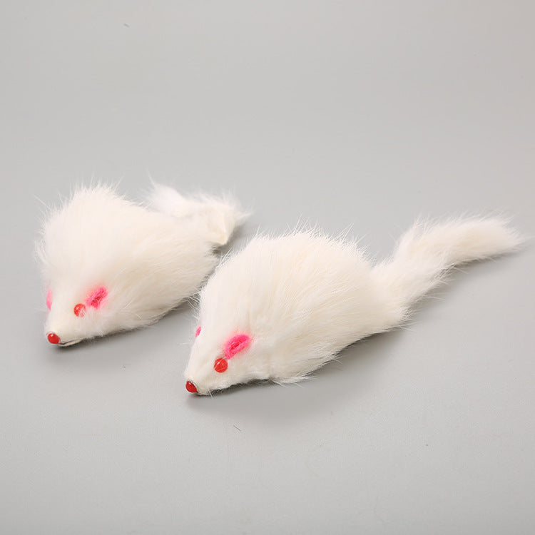 Pet Telescopic Hanging Door Small Mouse Pets Cat Toy Pets Fashion