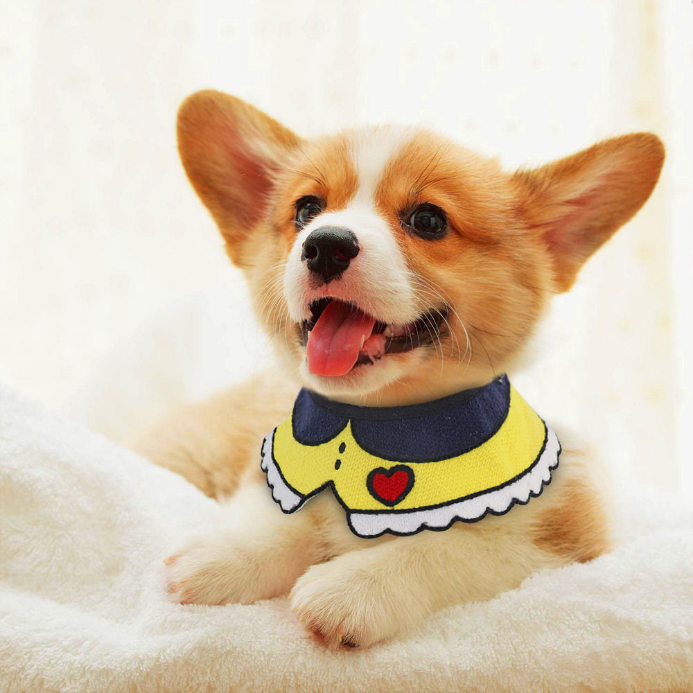 Pet collar Pets Fashion