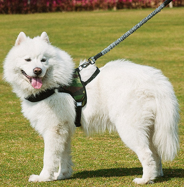 Chest harness dog leash Pets Fashion