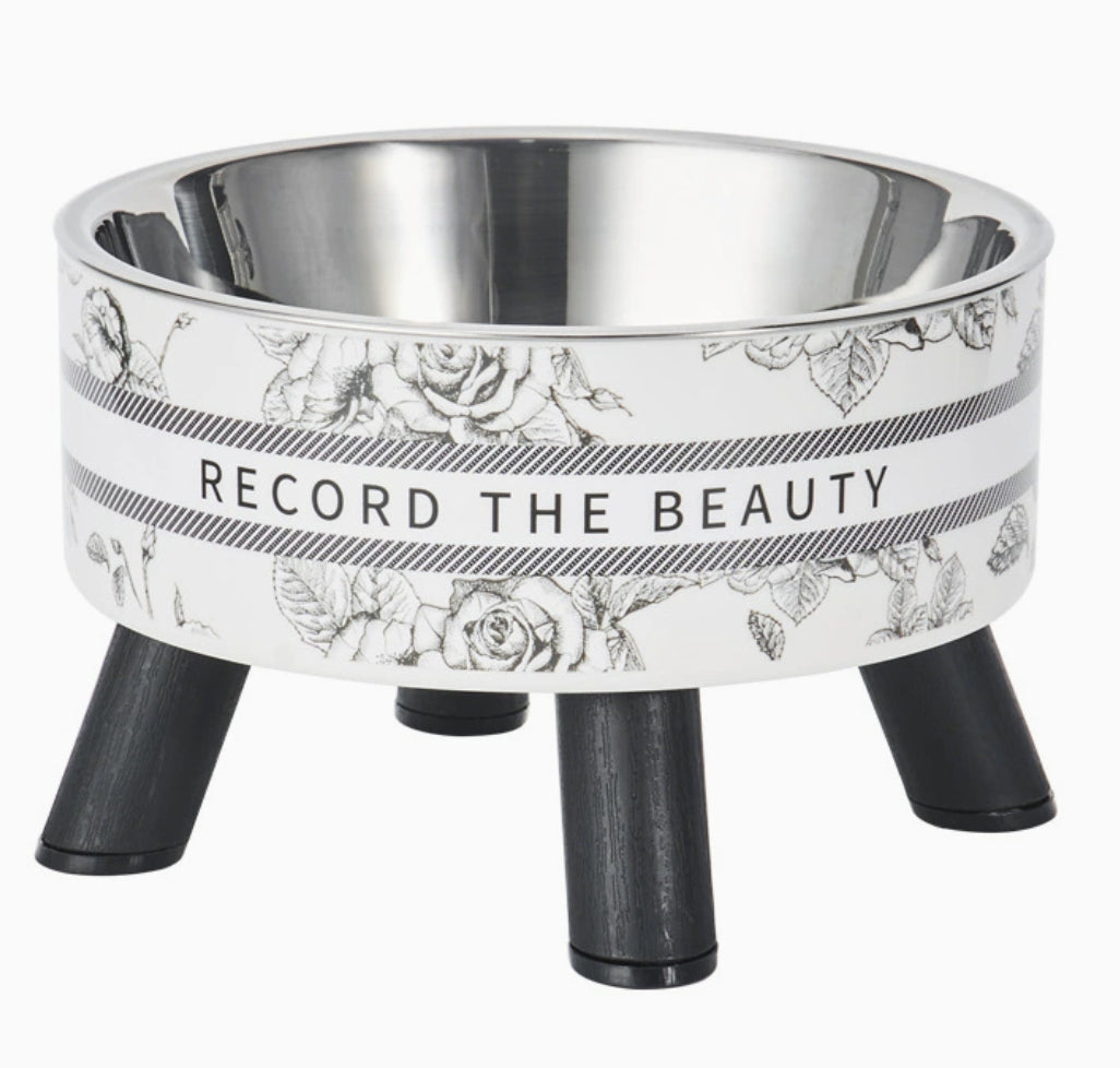 Retro Cat Elevated Bowl Stainless Steel Cat Water Bowl Pets Fashion