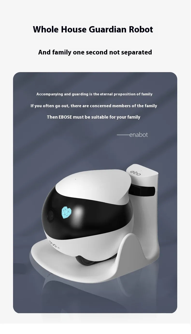 RoboView Mobile Security Cam Pi-Mart