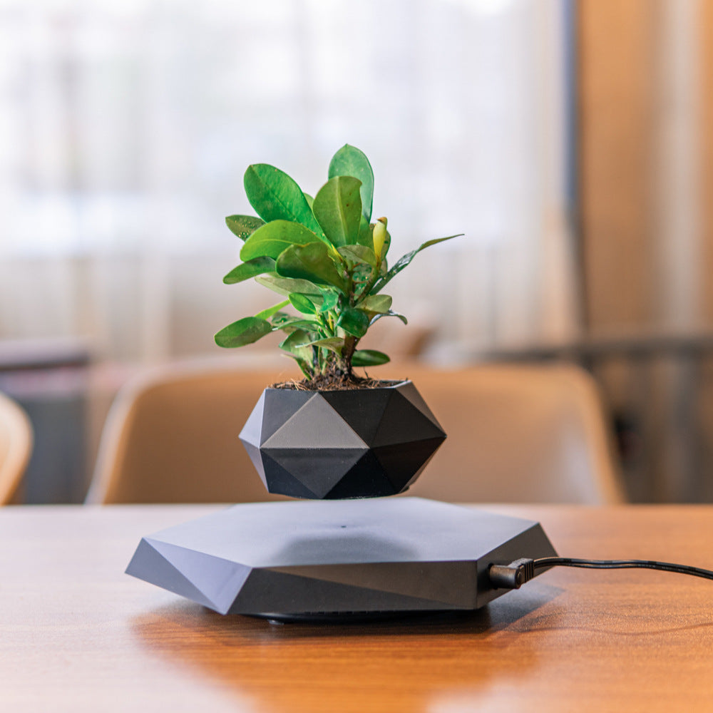 Levitating Magnetic Flower Pot PearlNestDecor.com