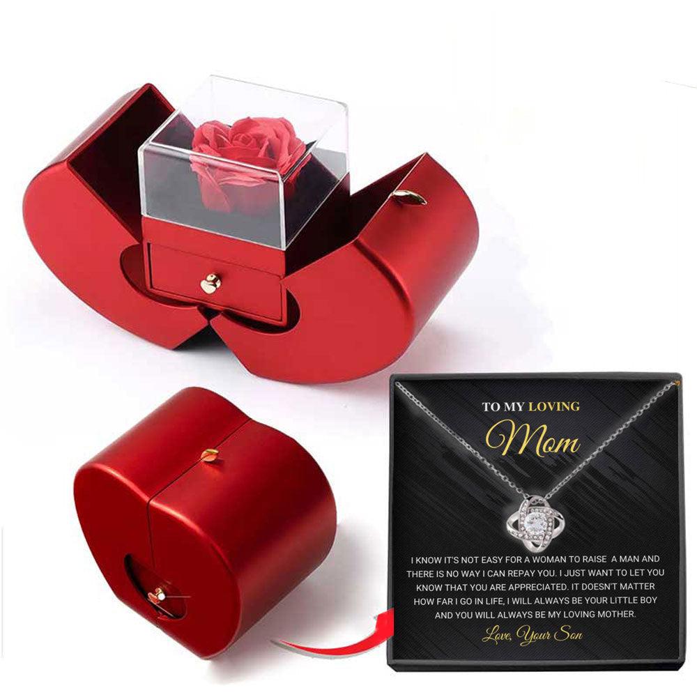 Niche Mother's Day Gift Clavicle Chain Apple Box Set LadyShow.Store