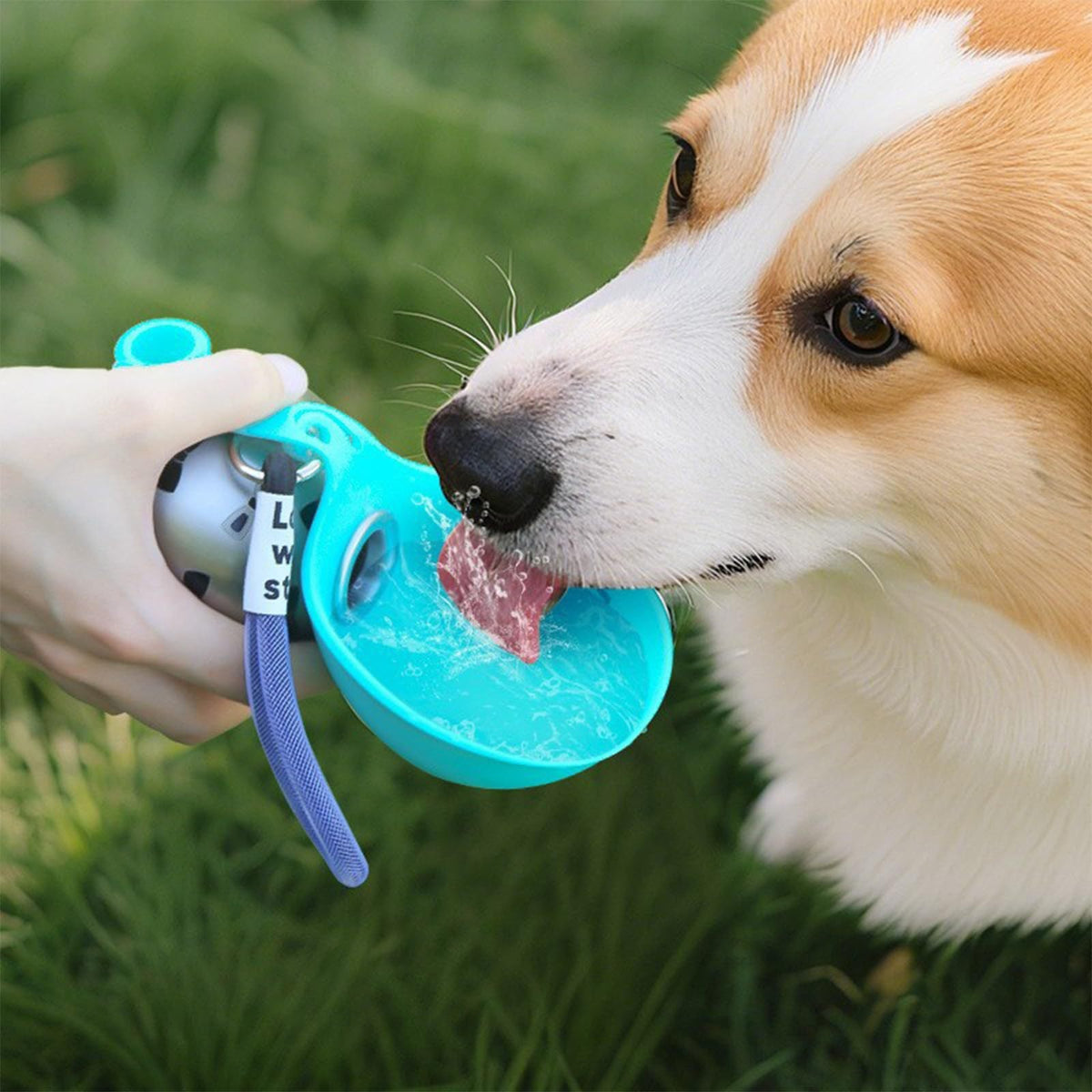 Outdoor 304 Stainless Steel Round Hanging Carabiner Folding Silicone Water Bottle Pets Fashion