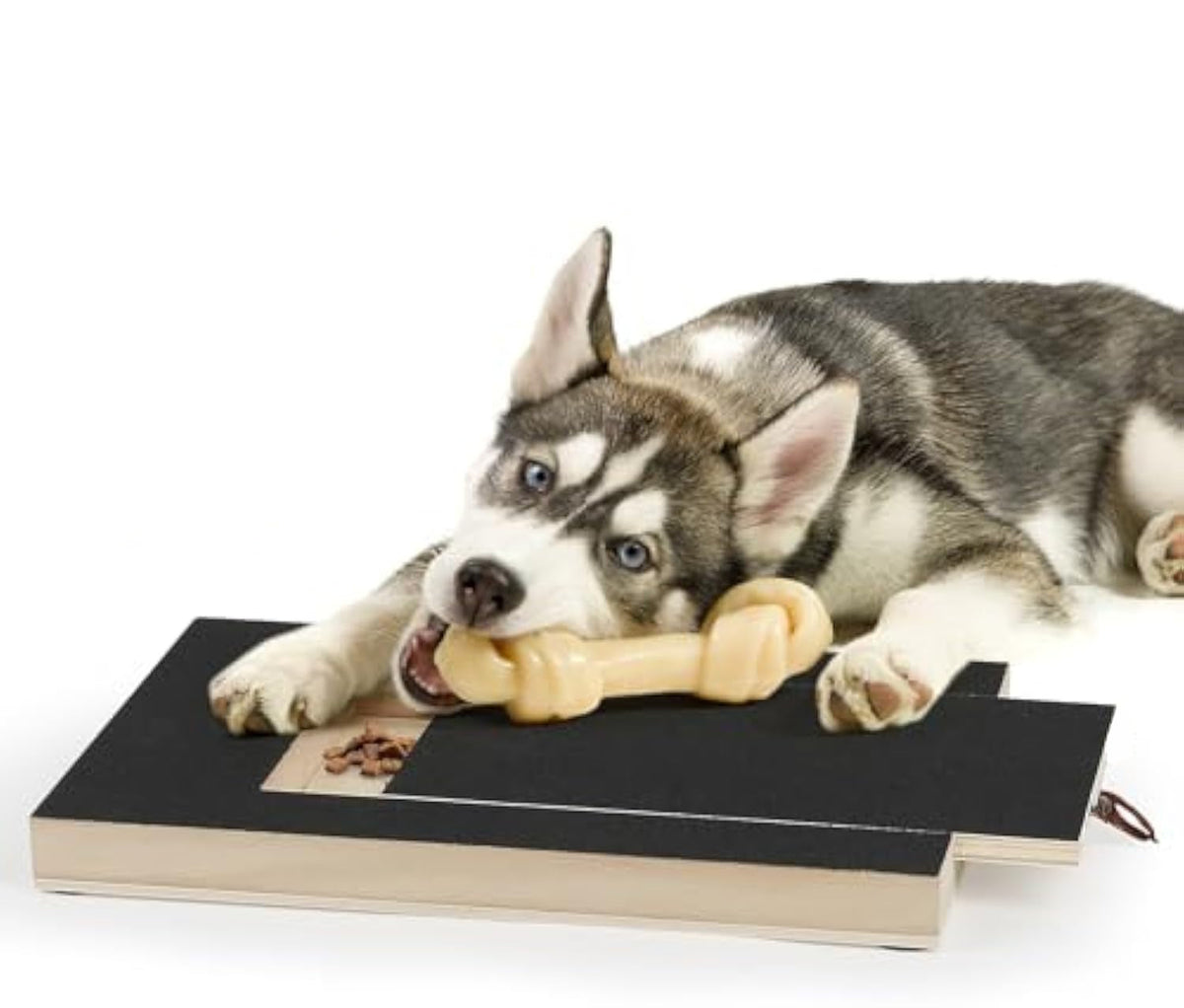 Dog Nail Scratch Board, Dog File Board Dog Nail Grinder Board Scratch Pad For Nails With Treat Box Pets Nails Trimming For All Dog Sizes Pets Fashion