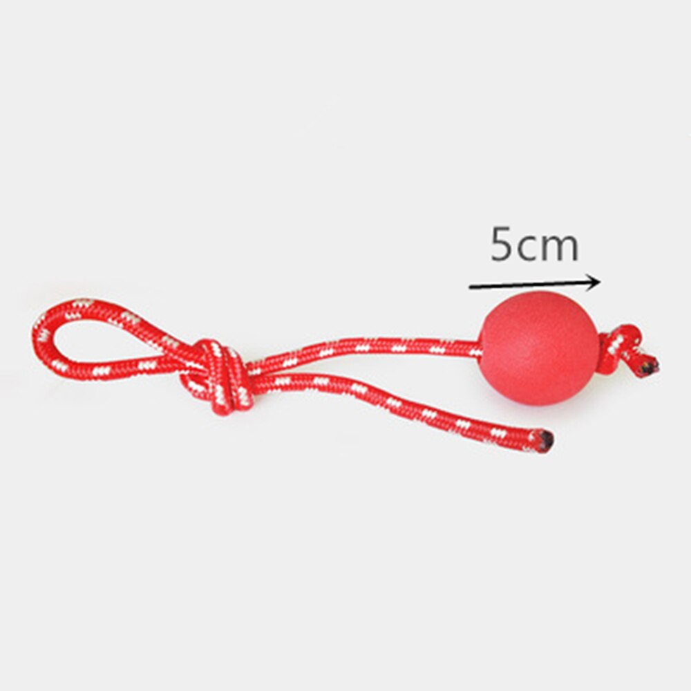 Dog Biting Sucker Multifunction Pet Molar Bite Toy Pets Fashion