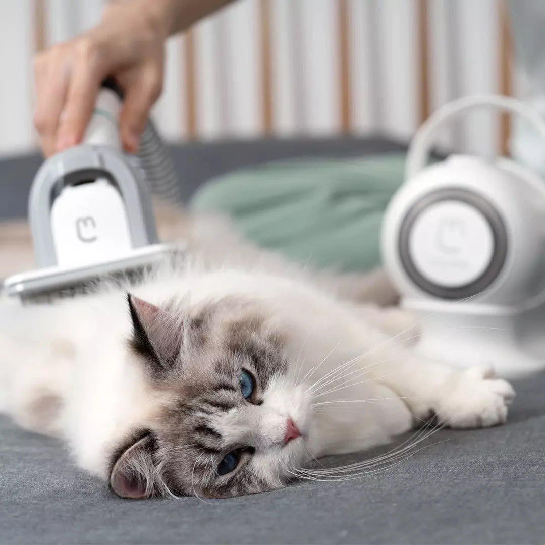 Pet Shaving Smart Grooming And Hair Sucker Pets Fashion