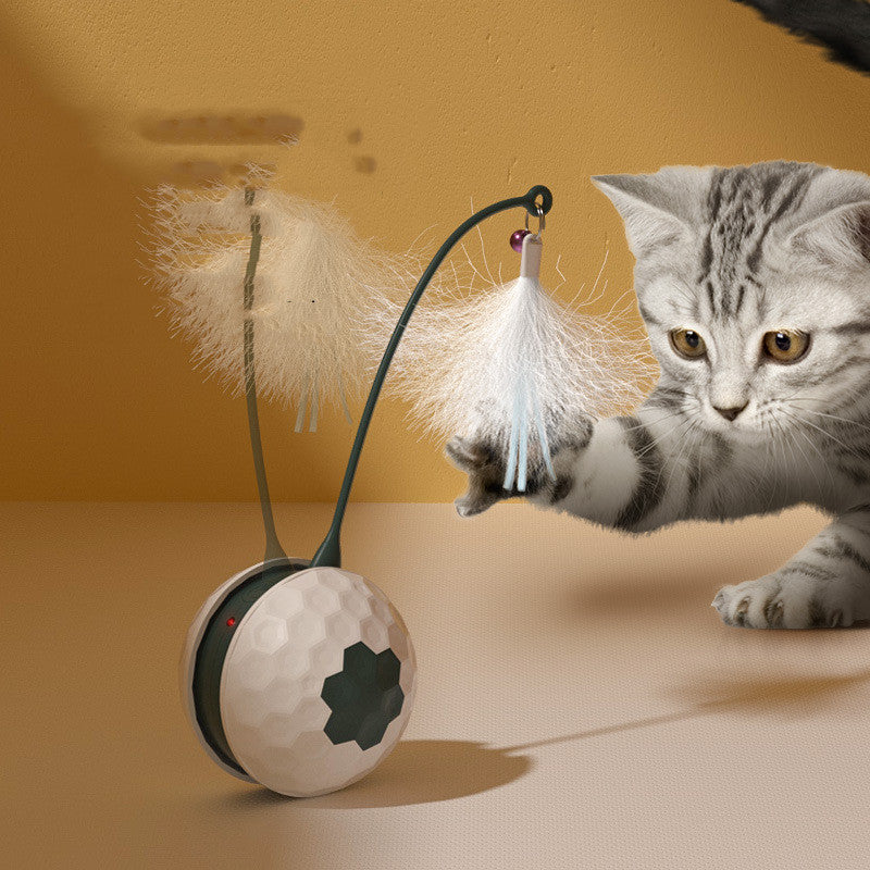 Enjoying Electric Intelligent Bite Resistant Cat Toys Pet Products Pets Fashion