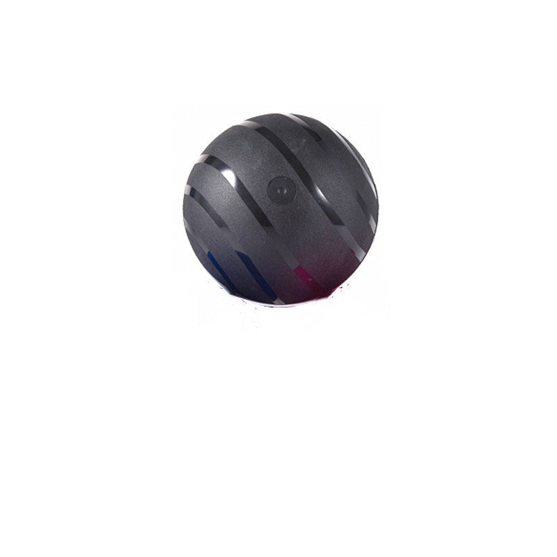 Smart Pet Toy Ball USB Charging Pets Fashion