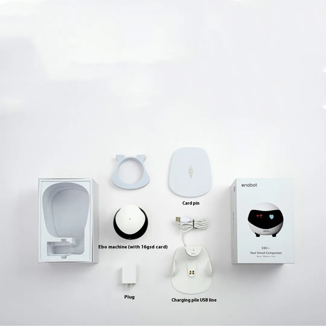 RoboView Mobile Security Cam Pi-Mart