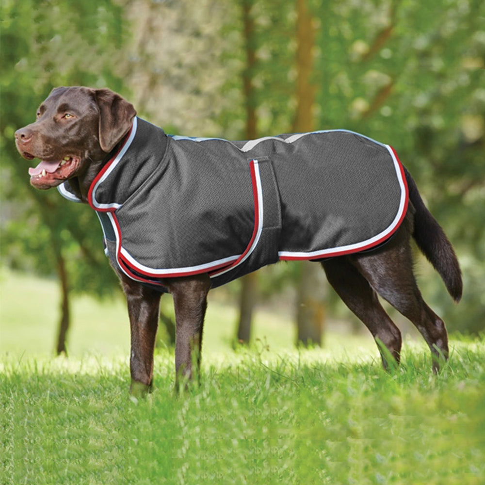 Autumn And Winter Warm Pet Leisure Waterproof Jacket Pets Fashion