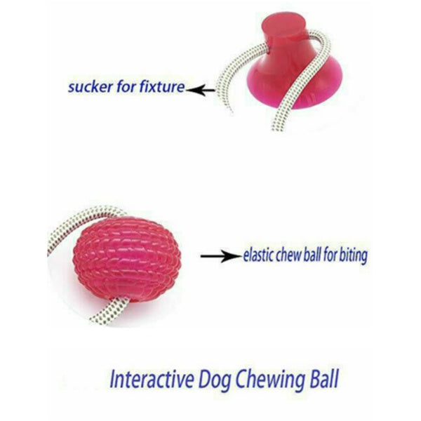 Dog Biting Sucker Multifunction Pet Molar Bite Toy Pets Fashion