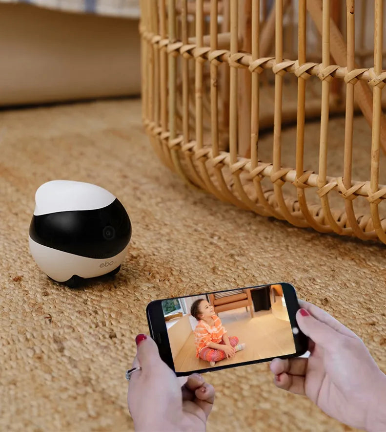 RoboView Mobile Security Cam Pi-Mart