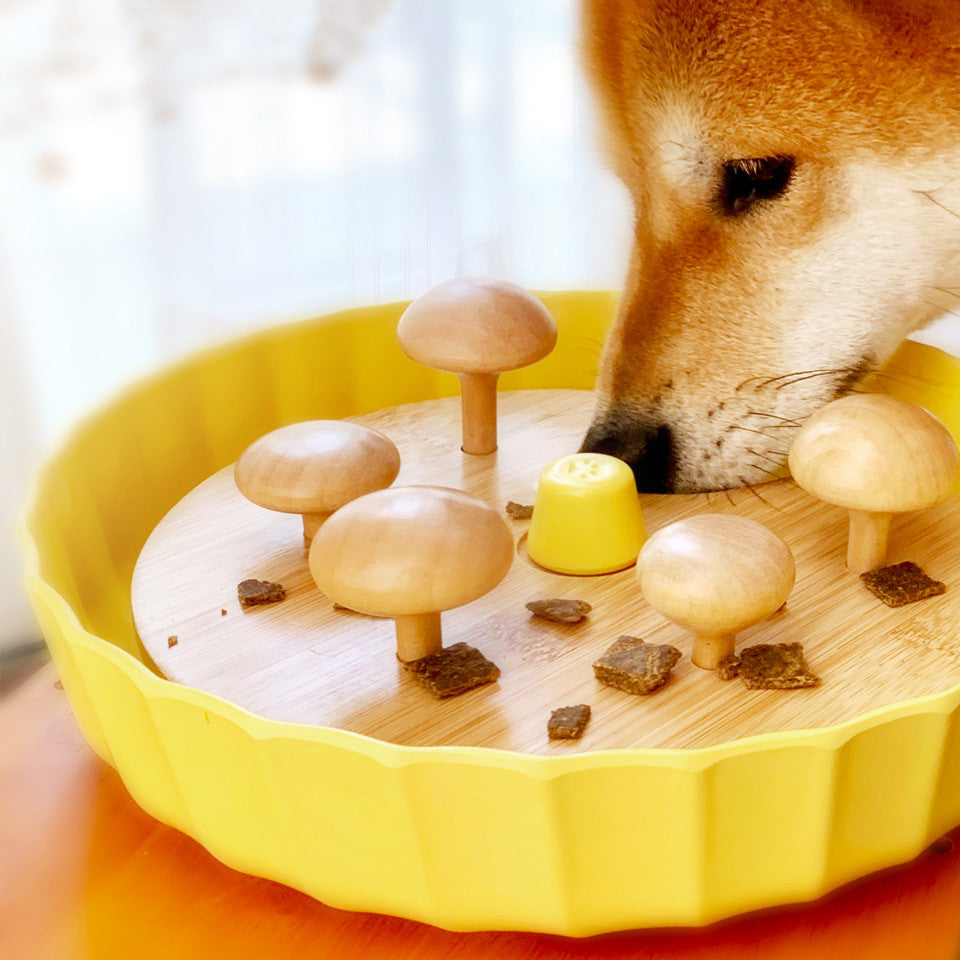 Anti-Choke Dog Cat Sniffing Pad Toy Pet Bowl Pets Fashion